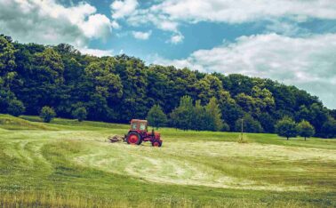 Decorative Farming Photo